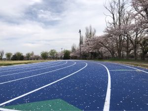 陸上競技場がブルータータンになりました。