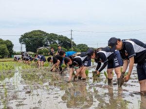 【女子硬式野球部】「明軽」プラチナ賞獲得